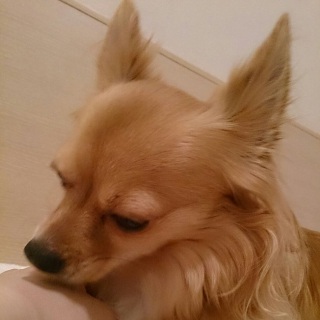 �y���U���ŋN�������