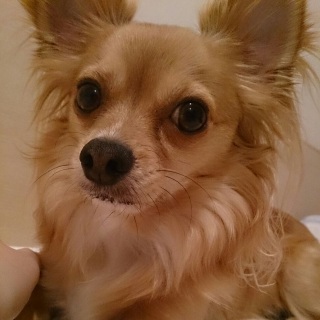 �A�S���^����