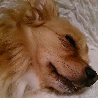 ���܂��