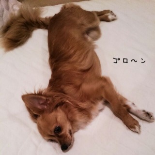起こしておいて