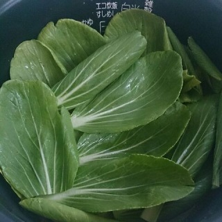 炊飯器 de ハンバーグに挑戦