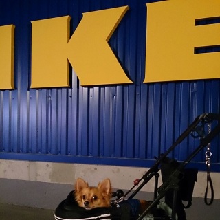 IKEA