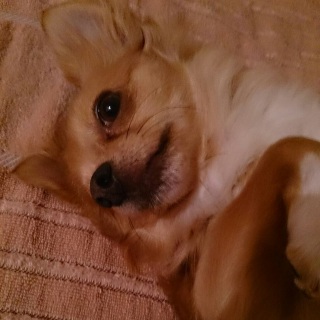 �S���`��