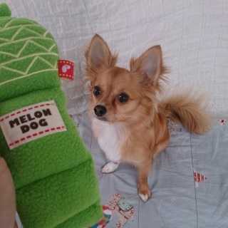 �����̎e�L�O��