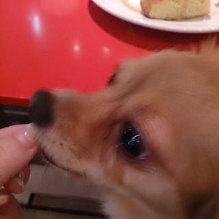 ���y���l�ł�����