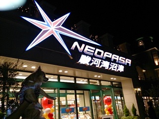 NEOPASA�x�͘p����(��)