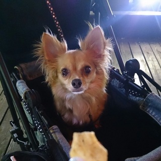 �W���[��