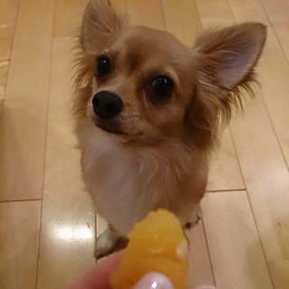 �I�����W
