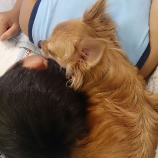 �����̂ɂ������Q�l��