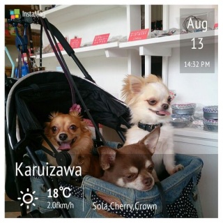 Sola,Cherry,Crown