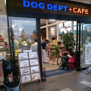 DOG DEPT �{CAFE