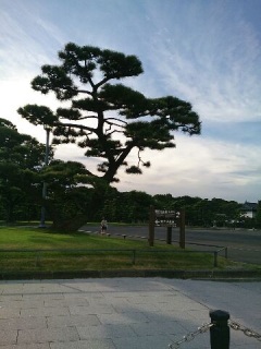 �A�蓹