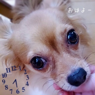 今日から9月