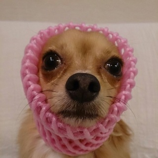 �����܂�