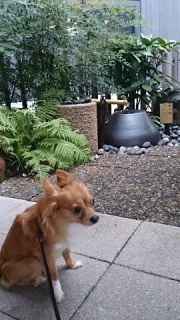 �܂����̐��ՌA�I