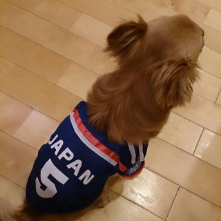 �T�����C�u���[