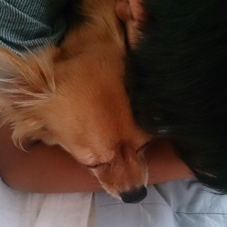 hug hug