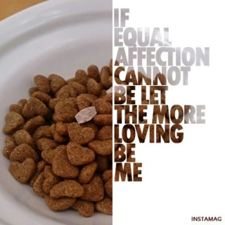 �X���̃p�m���~�X������