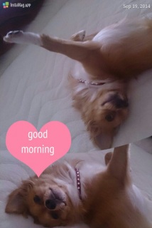 �N���܂���`