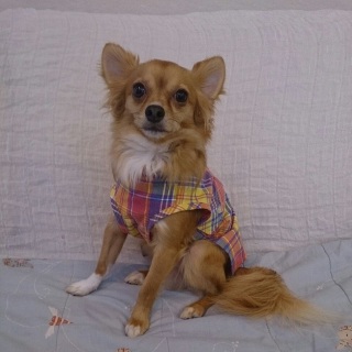 �Rway�����V���c�O