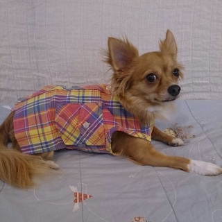�Rway�����V���c��