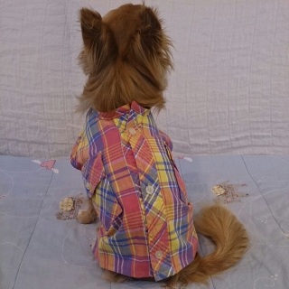 �Rway�����V���c��