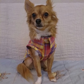 �Rway�����V���c�J���[�����t�����g