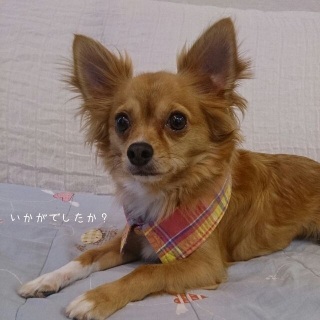 �Rway�����V���c�ȏ�