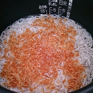 15���Ɏd�|��������
