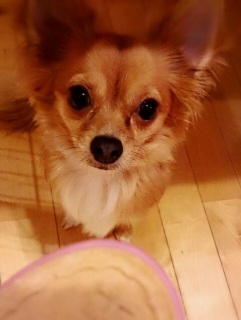 これは無理よ〜ヾ(・ω・`;)ノ