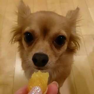 大好きなオレンジ
