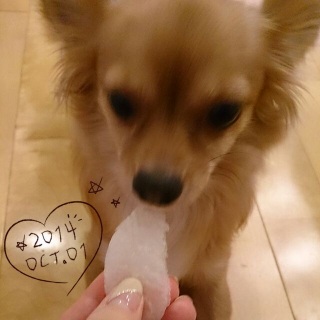 �݂��݂�����