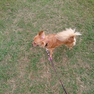 公園�A