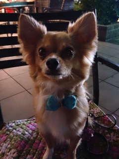 �J�����ڐ��H