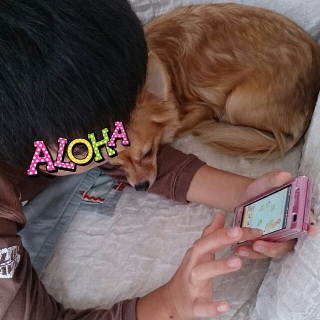 �����X�g