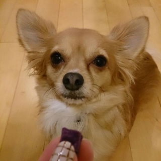 ���C���҂�