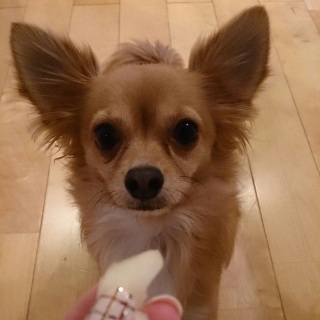 ���E�t�����X�҂�