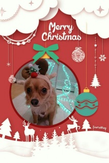 Merry Christmas Eve