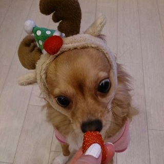 ���������Ƃ����������A