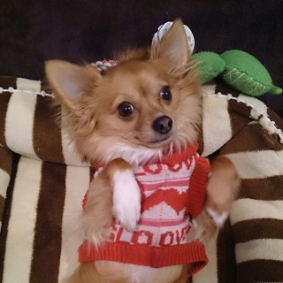 �S���`����