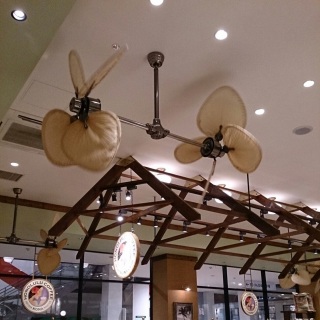 �n���C�A���\���O��