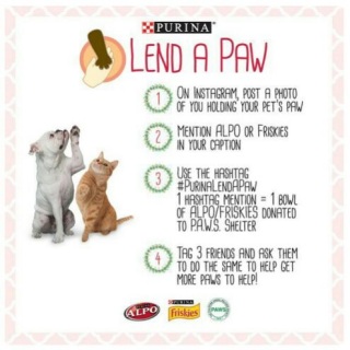 LEND A PAW
