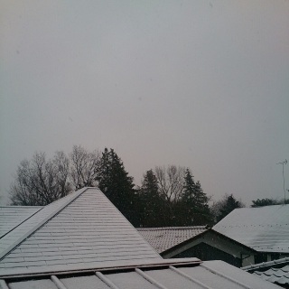 初積雪@2015