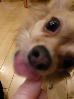 �ǂ�����