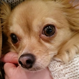 �y����������