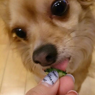 うまうま♪
