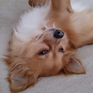 �����ˁ`��