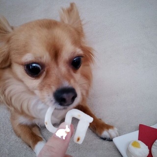 �M�����ڂ�����