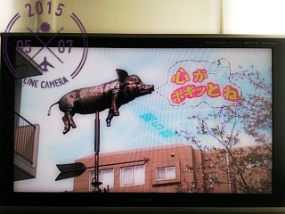 好きだわ