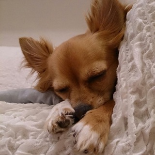 ��������